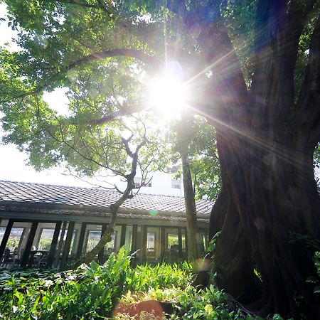 The Raweekanlaya Бангкок Екстер'єр фото The greenhouse at the University of Washington Botanic Garden