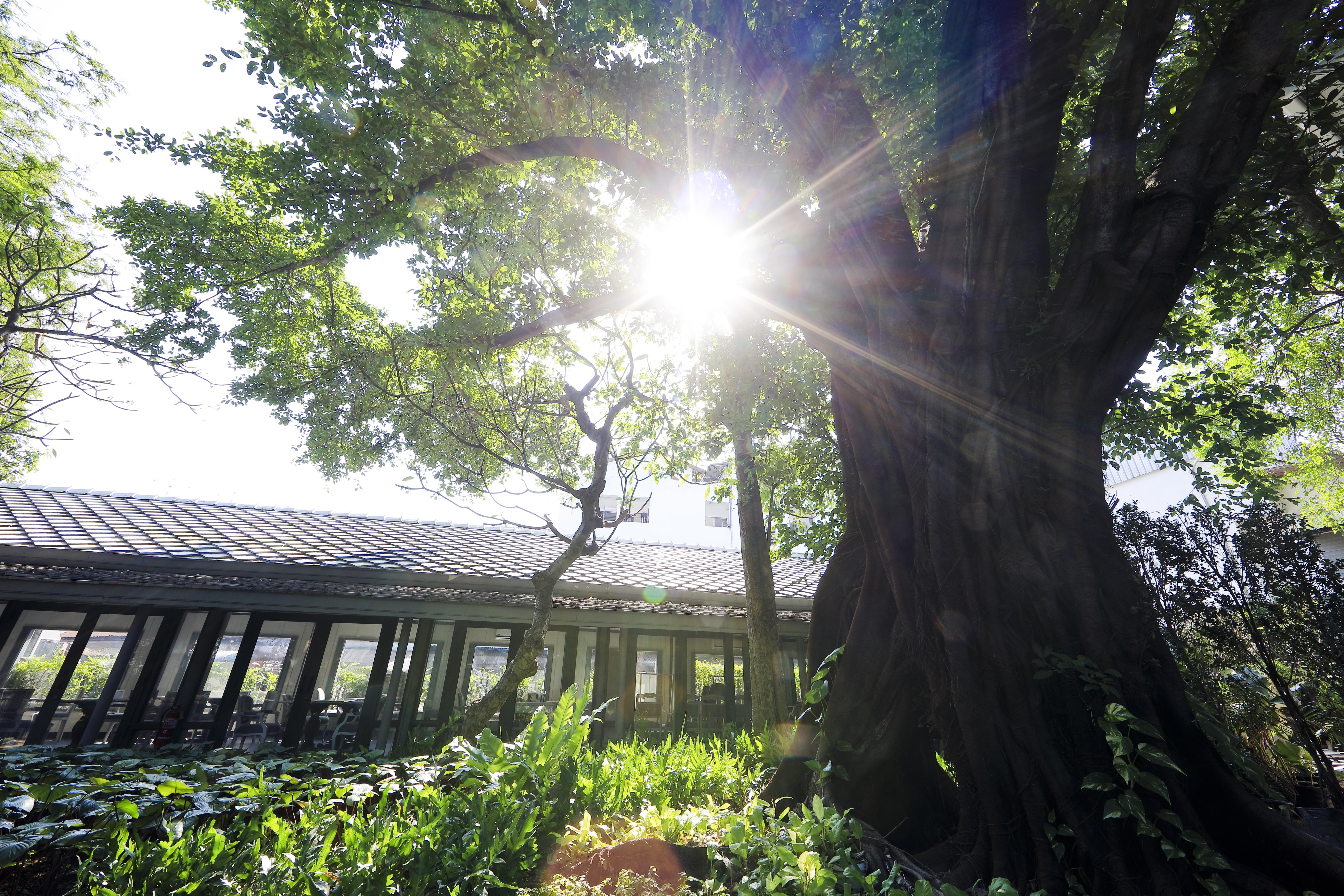 The Raweekanlaya Бангкок Екстер'єр фото The greenhouse at the University of Washington Botanic Garden